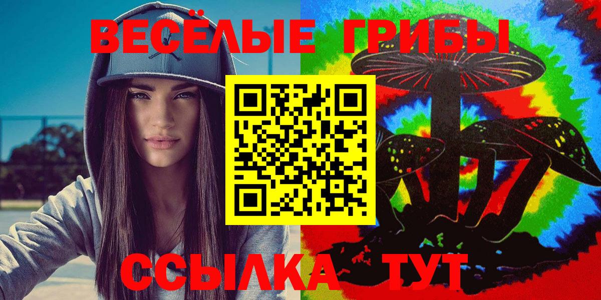 Галлюциногенные грибы Cubensis Лениногорск